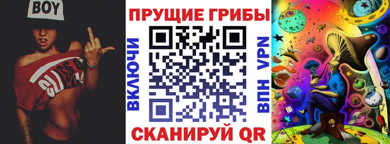 маркетплейс какой сайт  Пучеж  Псилоцибиновые грибы ЛСД 